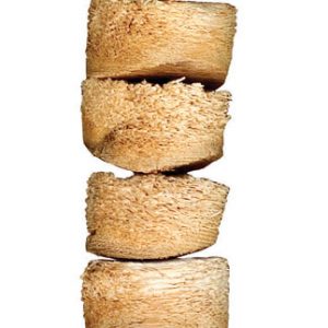 WESCO Mini Bird Kabob