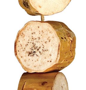 WESCO Grande Bird Kabob - 17in/85g