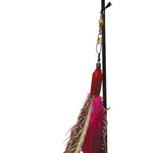 GO CAT Da Bird Pull Apart Rod & Bird