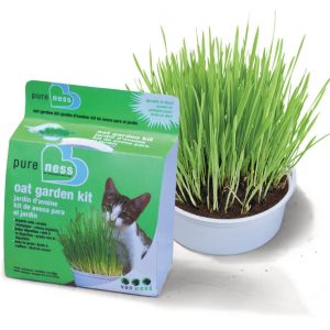 VAN NESS Oat Garden Kit 1oz