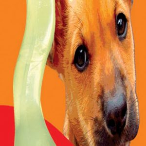 FIDO SM Bone / SF 120