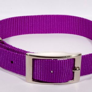 AK-9 Single Layer Nylon Collar 1inx24in