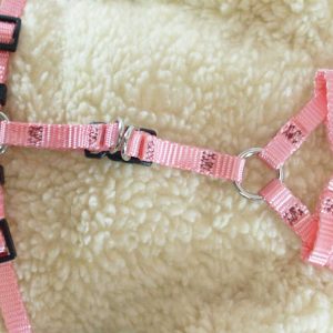 AK-9 Nylon StepIn Harness 3/8 x10-15in