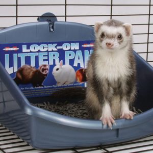 MARSHALL Lock-On Litter Pan