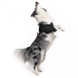 SUITICAL Recovery Sleeve - Dog - Black 2XS