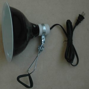 REPTI-FIT Black Dome Clamp Lamp 8.5 in