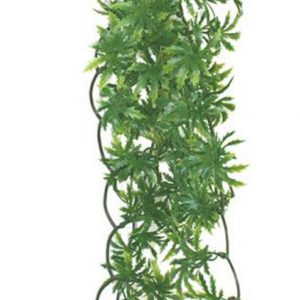 KOMODO Papaya Leaf Vine 60cm