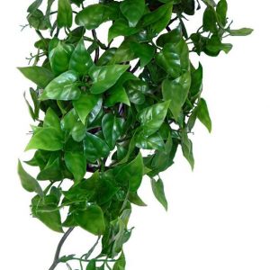 KOMODO Philodendron Hanging Plant 40cm