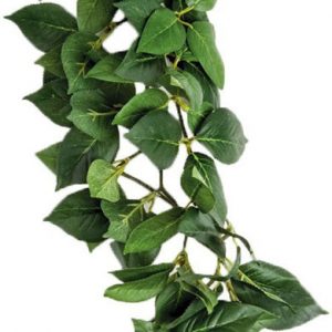 KOMODO Sumatra Hanging Vine 23cm