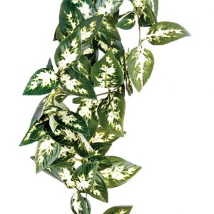 KOMODO Borneo Hanging Vine 23cm