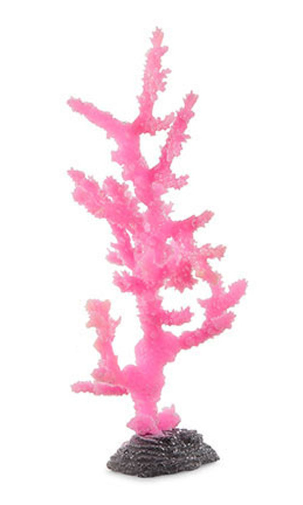 SPORN PINK Sinularia CORAL L