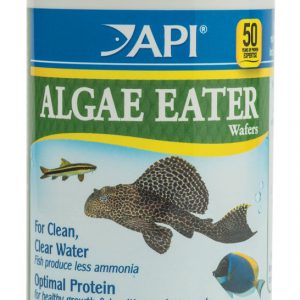 API Algae Eater Wafers 3.7 oz