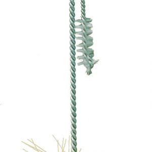 OASIS Bottle Brush for 32 oz bottles