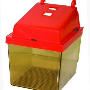 PAWISE Bird swing 15.5cm