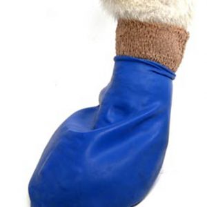 PAWZ Boots - Medium 12pk
