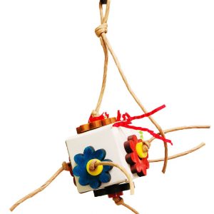 ZOO-MAX FUN-BOX 2" (8 X 5)