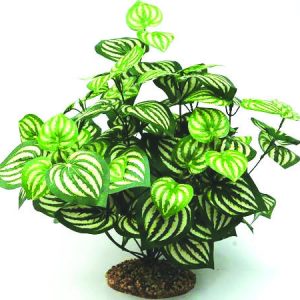 GLOFISH Plant Large Orange/Yellow