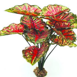 GLOFISH Plant Sea Grass Md