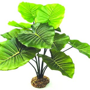 GLOFISH Plant Javamoss Md