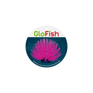 GLOFISH Anemone Pink -Lg 1 CT
