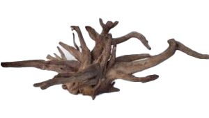 AQUAGLOBE Xxlarge Sabawood