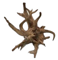 AQUAGLOBE Show Sabawood