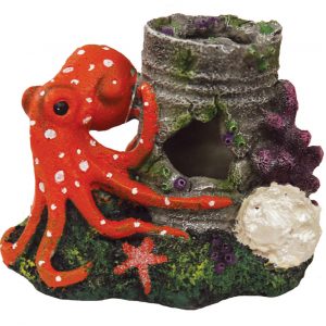 AQUA-FIT Polyresin Octopus 5x3x3in