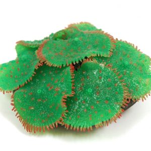 SPORN Ricordia Anemone GREEN