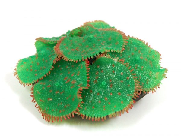 SPORN Ricordia Anemone GREEN