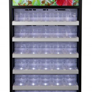 TETRA Grab and Go BETTA CENTER - 30 CUP