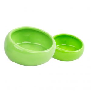 PAWISE Small animal Dish-large Slanted 13.5x13.5x6.5cm
