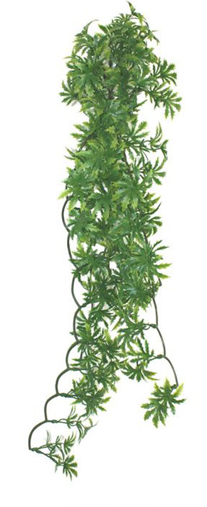 KOMODO Papaya Leaf Vine 60cm