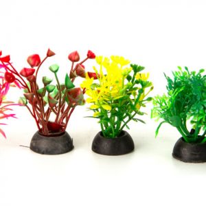 AQUA-FIT Assorted Plastic Plant 6pk 2"