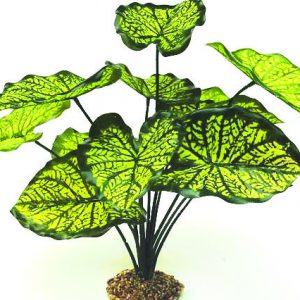 GLOFISH Plant Yellow Fern Md