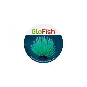 GLOFISH Anemone Green Lg 1CT