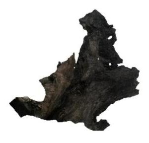 AQUAGLOBE Small Blackwood