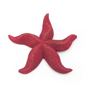 AQUA-FIT Polyresin Starfish 2.75x2.75x0.5in