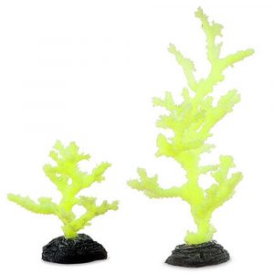 SPORN YELLOW Sinularia CORAL L