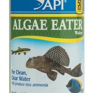 API Algae Eater Wafers 6.4 oz