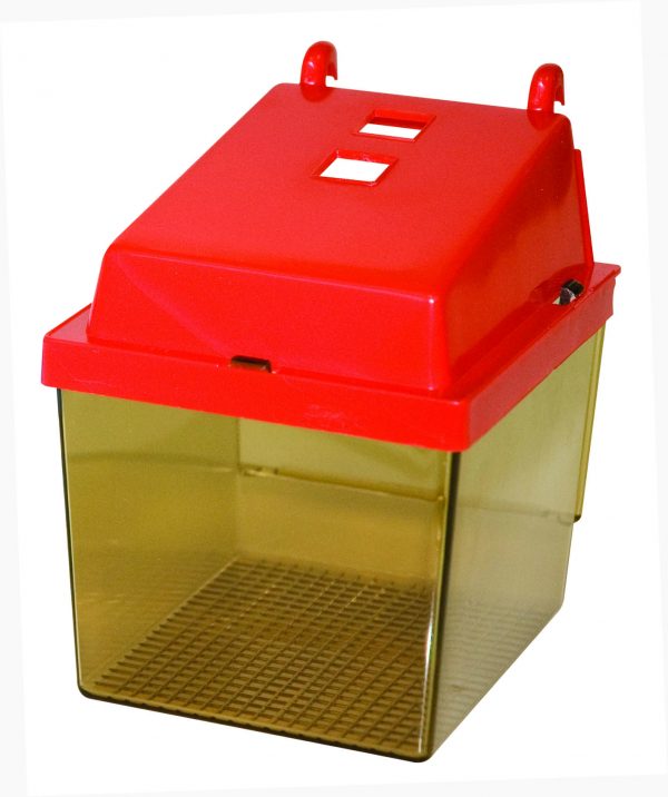 PAWISE Bird swing 15.5cm