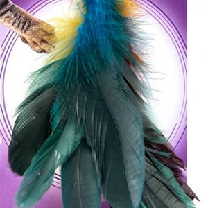 CAT LURES Rooster Fly Attachment