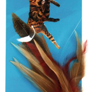 GO CAT Da Wild Thing