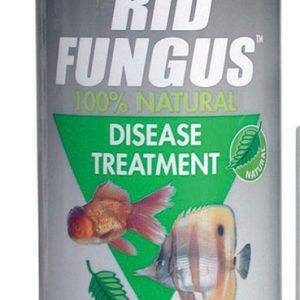 KORDON Rid Fungus 16 oz