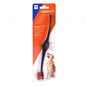 Paw Ready BrushMate Premium Toothbrush - Orange