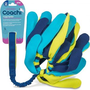 COACHI Tuggi Spider Navy Lime & Light Blue