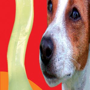 FIDO SF Mid Bone Chk