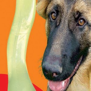 FIDO MED Bone /SF 240