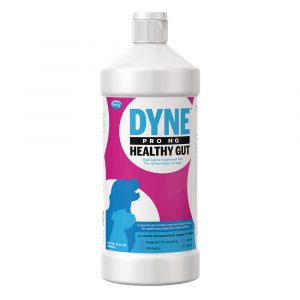 PETAG Dyne Pro Healthy Gut 32 oz
