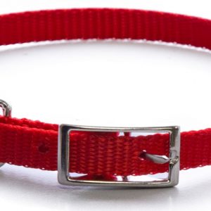 AK-9 Single Layer Nylon Collar 3/8x10in