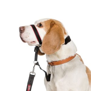 HALTI Optifit Headcollar Small